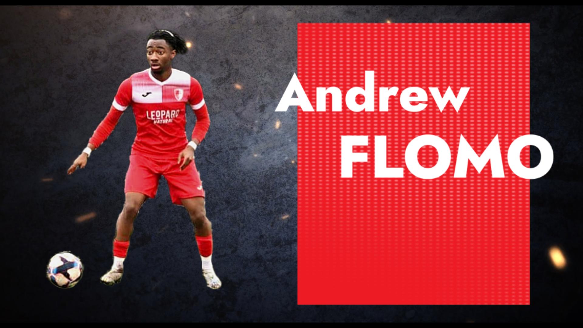 Andrews FLOMO Highlights 2-Miniature